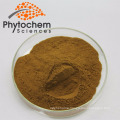 Lions Mane/Hericium Erinaceus Mushroom Extract Powder 30% Polysaccharides herbal extract